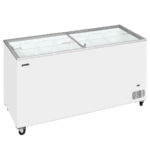 tefcold freezer